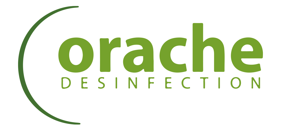 Orache