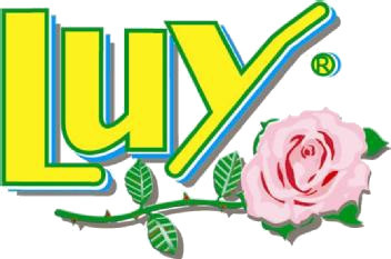 Luy